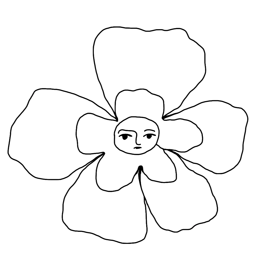 süße blume 